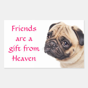 Autocollants de salutation Pug chiot chien Amis