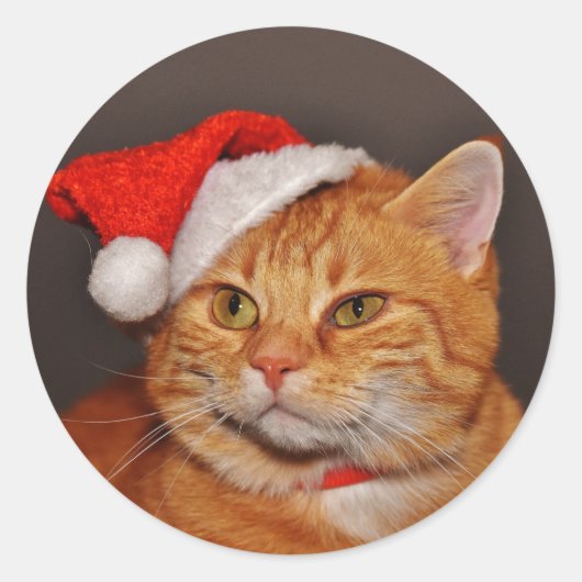 Autocollants de scellage d'enveloppe de chat tigré (Devant)