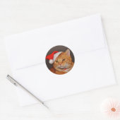 Autocollants de scellage d'enveloppe de chat tigré (Enveloppe)