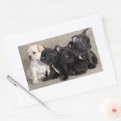 Autocollants de voeux pour Chien Chien Chien Chien (Enveloppe)