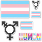 Autocollants découpés Drapeau de fierté transgenre (Devant)