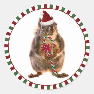 Autocollants d'écureuil de Joyeux Noël