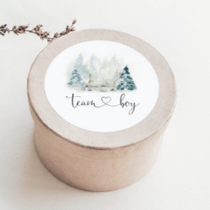 Autocollants d'équipe de révélation de genre de bo