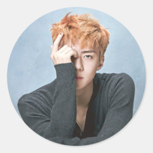Autocollants d'EXO Sehun
