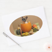 Autocollants d'Halloween pour bouledogues français (Enveloppe)