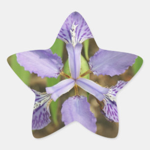 Autocollants d'iris d'étoile
