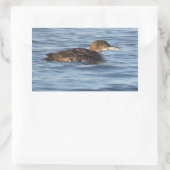 Autocollants d'oiseau Plongeon huard (Sac)