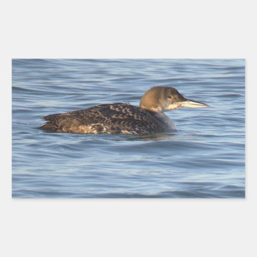 Autocollants d'oiseau Plongeon huard (Devant)