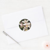 Autocollants d'orchidées Cymbidium (Enveloppe)