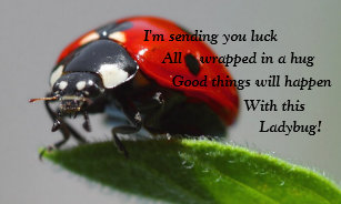 Autocollants Stickers Bonne Chance Zazzle Be