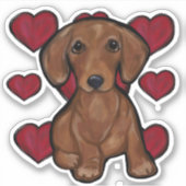 Autocollants Doxie (Devant)
