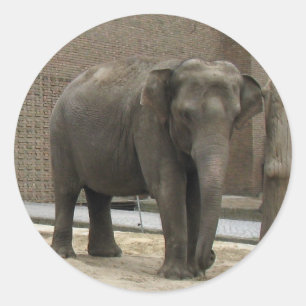Autocollants ELEPHANT