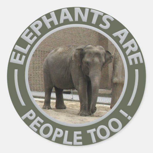 Autocollants ELEPHANTS (Devant)