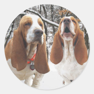 Autocollants en bois de Basset Hound Milou