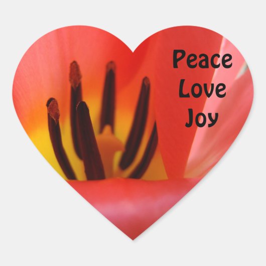 Autocollants en forme de coeur Enveloppe Phoques R (Devant)