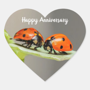 Autocollants en forme de coeur pour les coccinelle