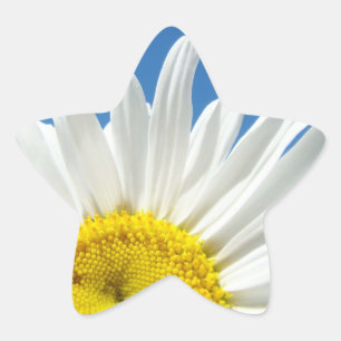 autocollants en forme d'étoile Fleurs de marguerit