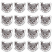 Autocollants en vinyle étanche photo personnalisés (Devant)