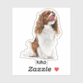 Autocollants en vinyle étanche photo personnalisés (Feuille)