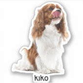 Autocollants en vinyle étanche photo personnalisés (Devant)