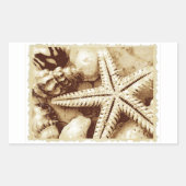 Autocollants Étoiles de Mer et Coquillages (Devant)