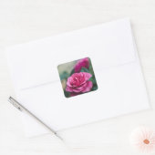 Autocollants Faveur de Scellés d'Envelope Rose Ros (Enveloppe)