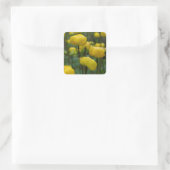 Autocollants Fleur de Globe Jaune (Sac)