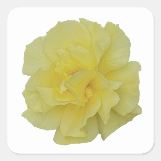 Autocollants Fleur Jaune (Devant)