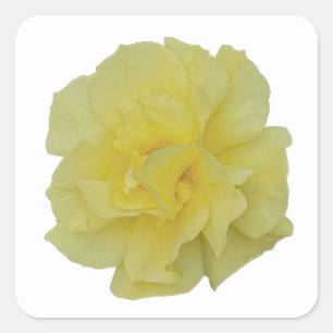 Autocollants Fleur Jaune