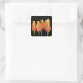 Autocollants floraux pour tulipes orange (Sac)