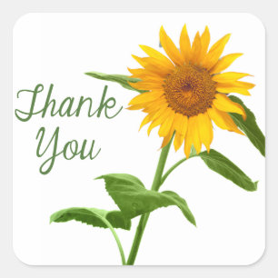 Autocollants Floraux Tournesol Jaune Merci