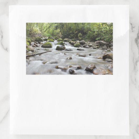 Autocollants Forest Stream (Sac)