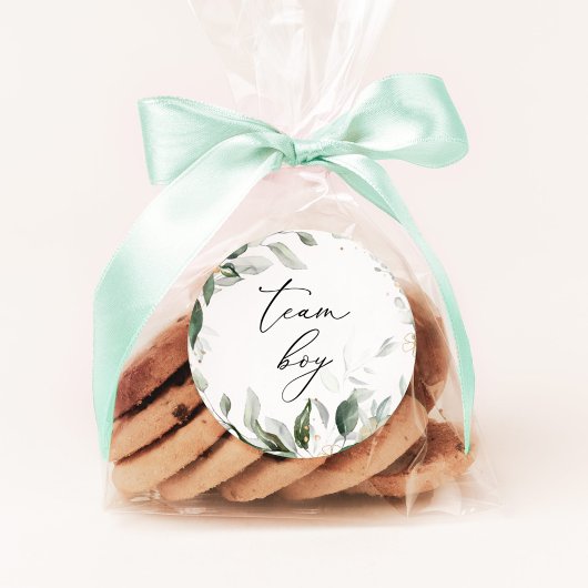 Autocollants garçon de l'équipe de verdure