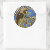 Autocollants gros écureuils (Sac)