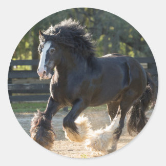 Autocollants Gypsy Vanner