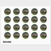 Autocollants Hippopotamus (Feuille)