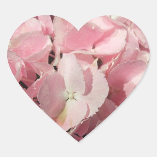 Autocollants - Hydrangea rose (Devant)