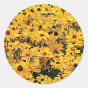 Autocollants jaunes de joint d'enveloppe de