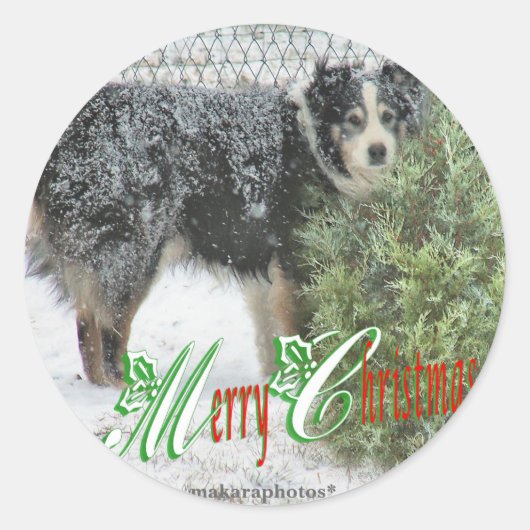 Autocollants JeepersMC (Devant)