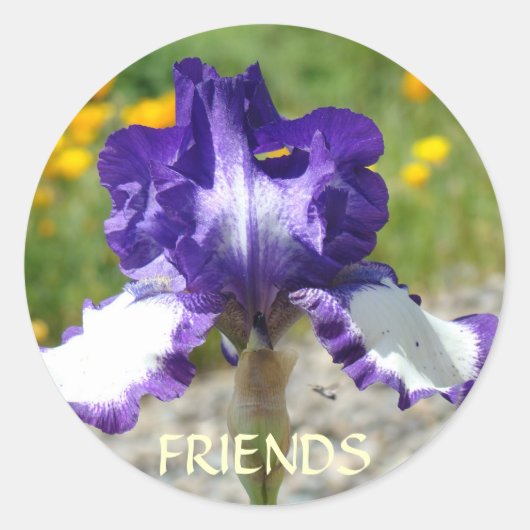 AUTOCOLLANTS MEILLEURE AMIE Fleurs d'Iris Violet C (Devant)