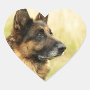 Autocollants mignons de berger allemand