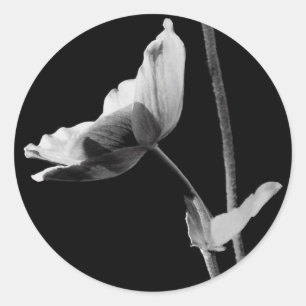 Autocollants noirs et blancs de fleur