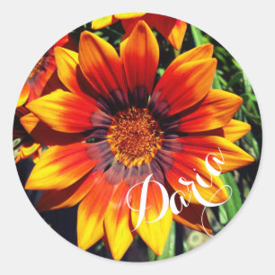 Autocollants nommés faits sur commande de Gazania