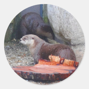 Autocollants North American River Otter #1