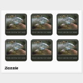 Autocollants personnalisés Iguana (Feuille)