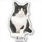 Autocollants personnalisés pour animaux de compagn (Devant)