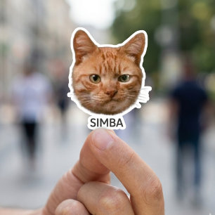Autocollants personnalisés pour animaux de compagn