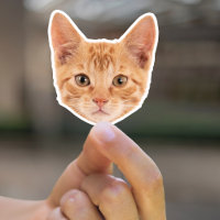 Autocollants personnalisés pour animaux de compagn