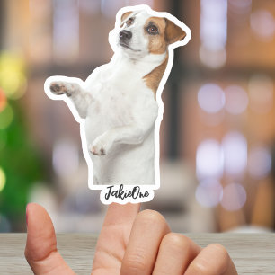 Autocollants personnalisés pour animaux de compagn