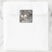 Autocollants POLAIRE (Sac)